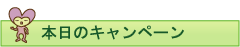 キャンペーン